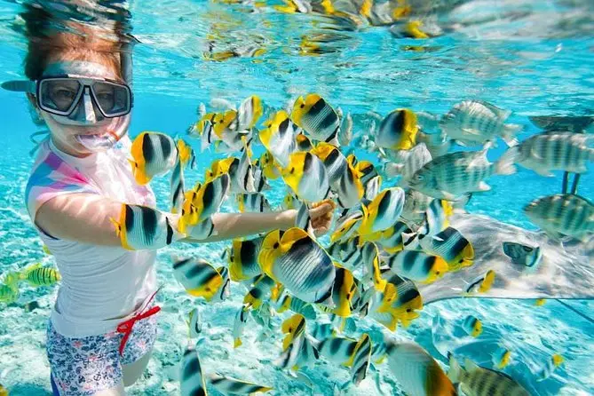 Snorkeling Trip in Hurghada