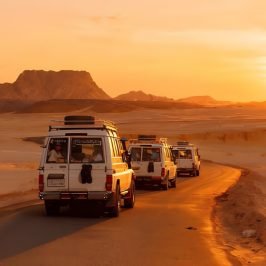 Jeep Safari